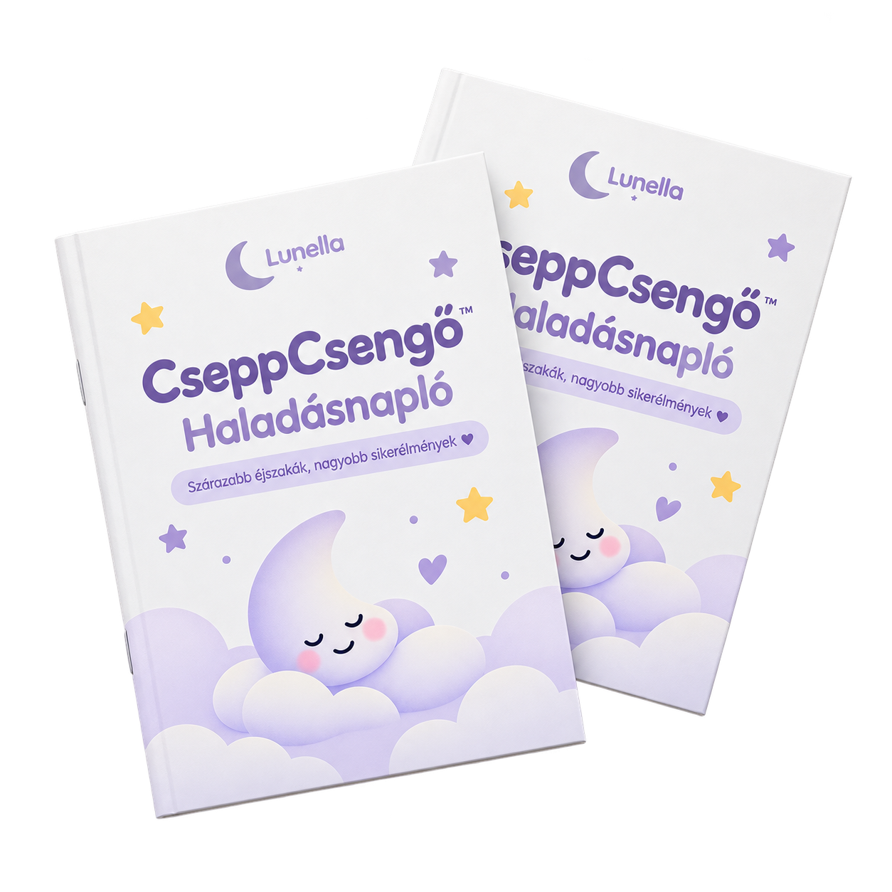 2DB CseppCsengő™ Haladásnapló